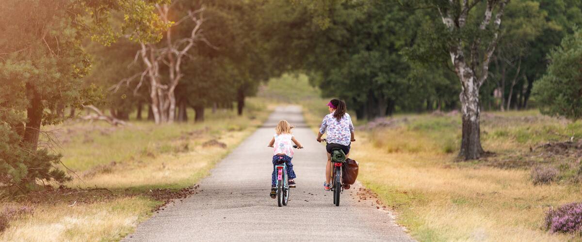 A pathway flanked by trees, with two people riding bicycles.