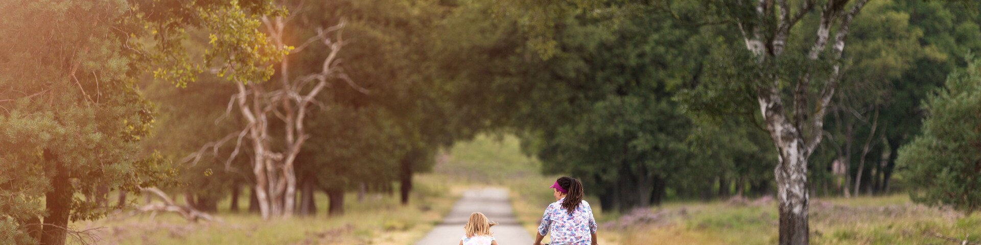 A pathway flanked by trees, with two people riding bicycles.
