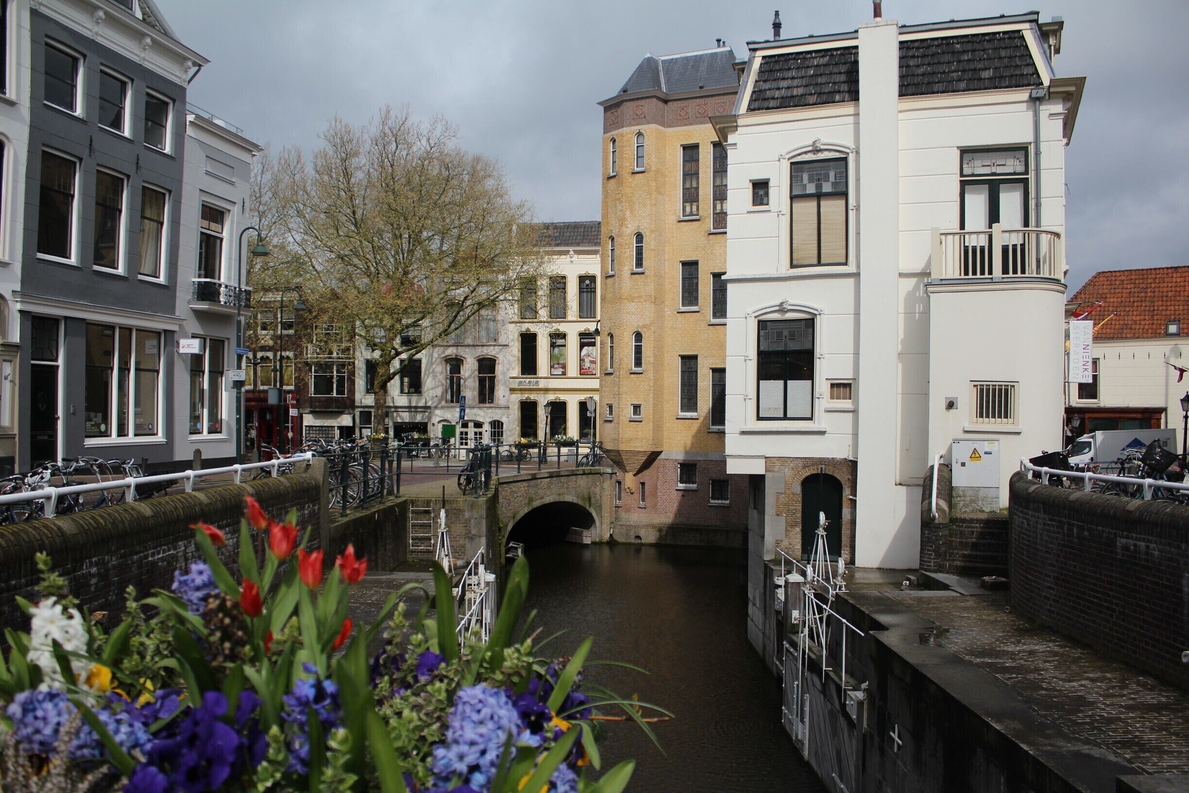 On Vest Street in Gouda.  Beautifully kept public areas.