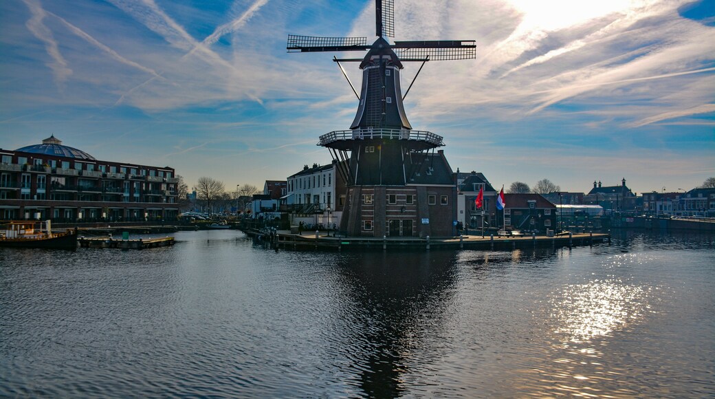 #daytrip #windmill #haarlem #netherlands