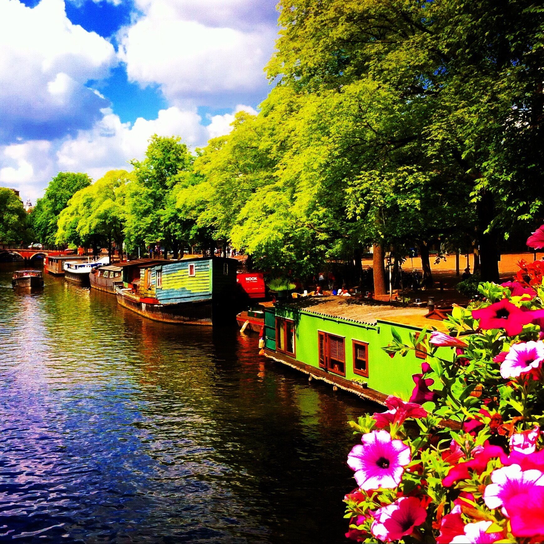 Amsterdam, Netherlands 🇳🇱 