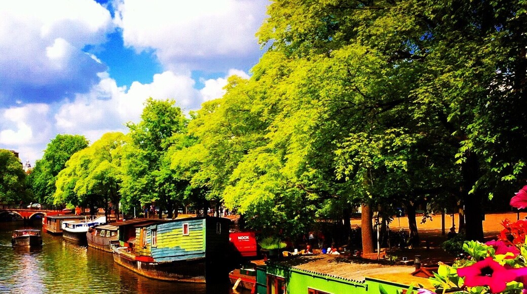 Amsterdam, Netherlands 🇳🇱