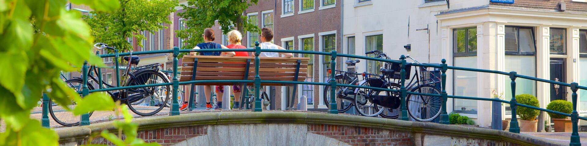 Haarlem which includes a bridge and a small town or village