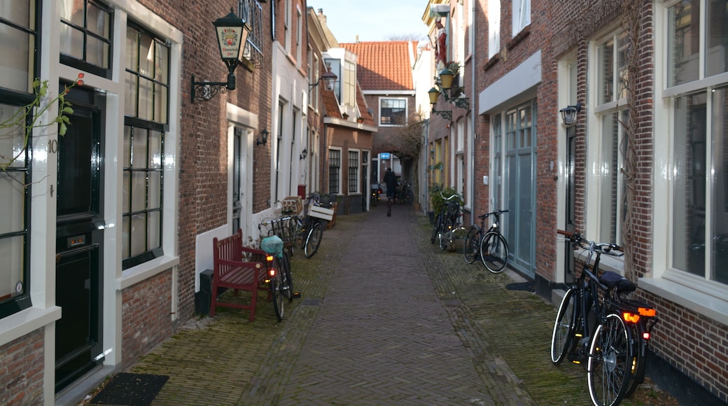 #daytrip #haarlem #netherlands