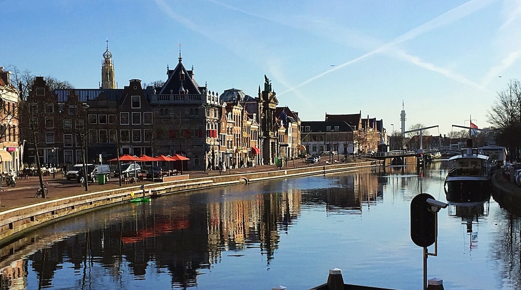 Quiet morning (Haarlem - Netherlands)
#Haarlem #Netherlands #Europe
April 2016- Iphone 6