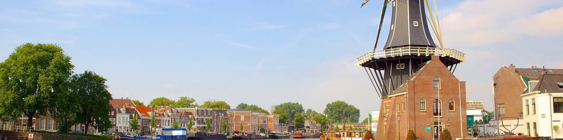 Haarlem ofreciendo un molino de viento y un río o arroyo