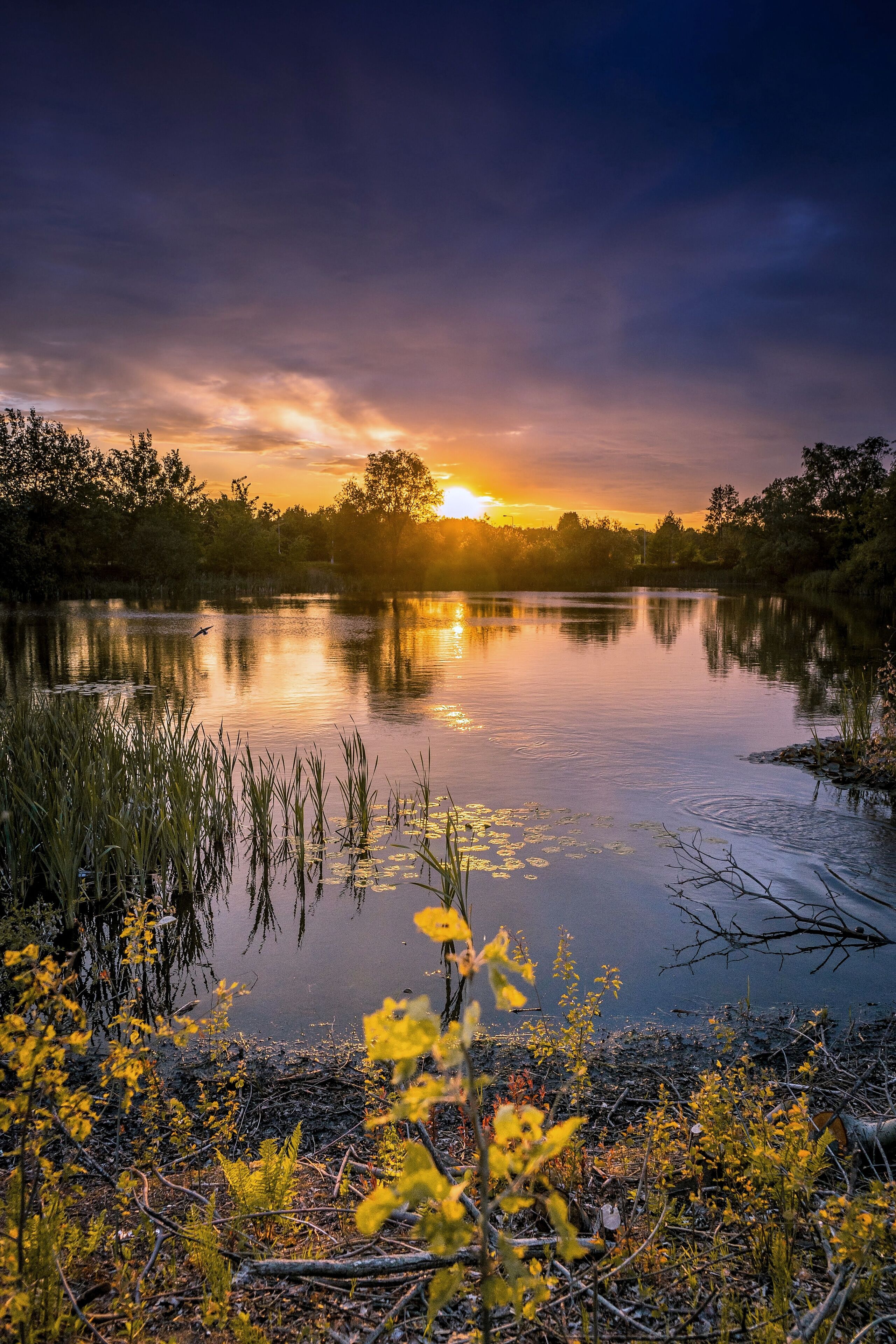 This is a small lake near the canal. With a sunset like this, this lake looks even more amazing.

#nature
#nature photo contest