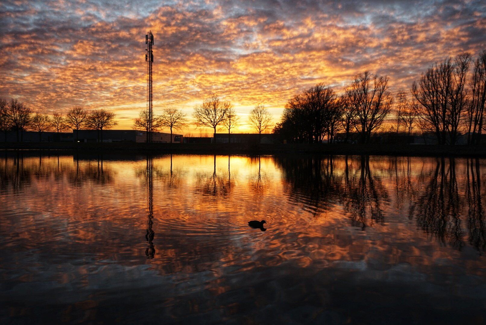 Sunset in Helmond Brouwhuis.

#nature
#nature photo contest