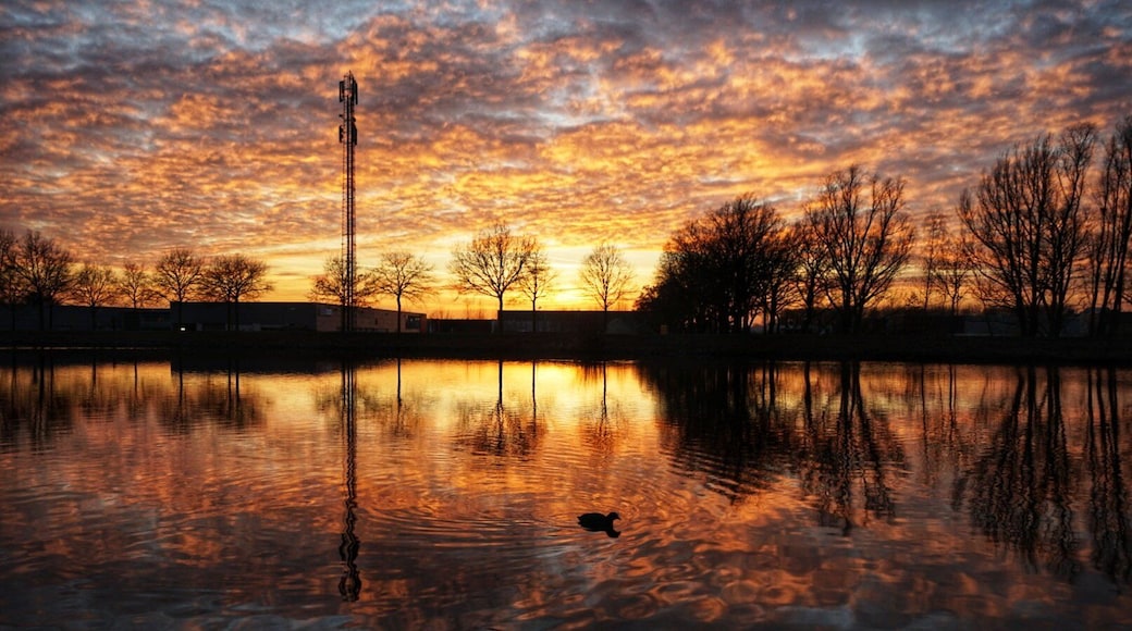 Sunset in Helmond Brouwhuis.
#nature
#nature photo contest