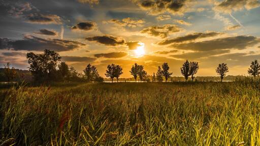 Catching sunrise at Berkendonk