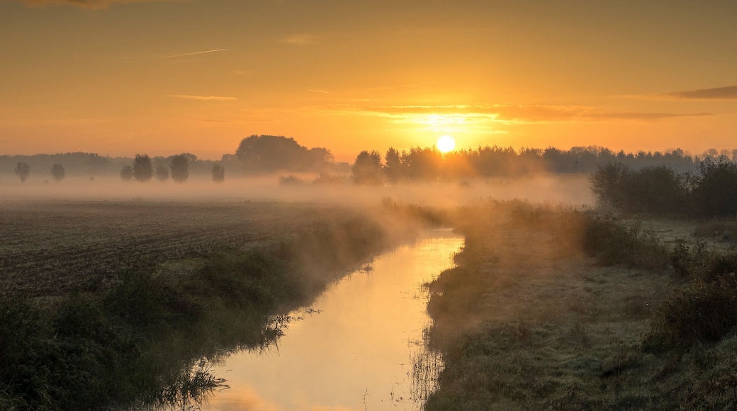 I shot this one before I went to work. It was a very stunning morning
#Mybackyard