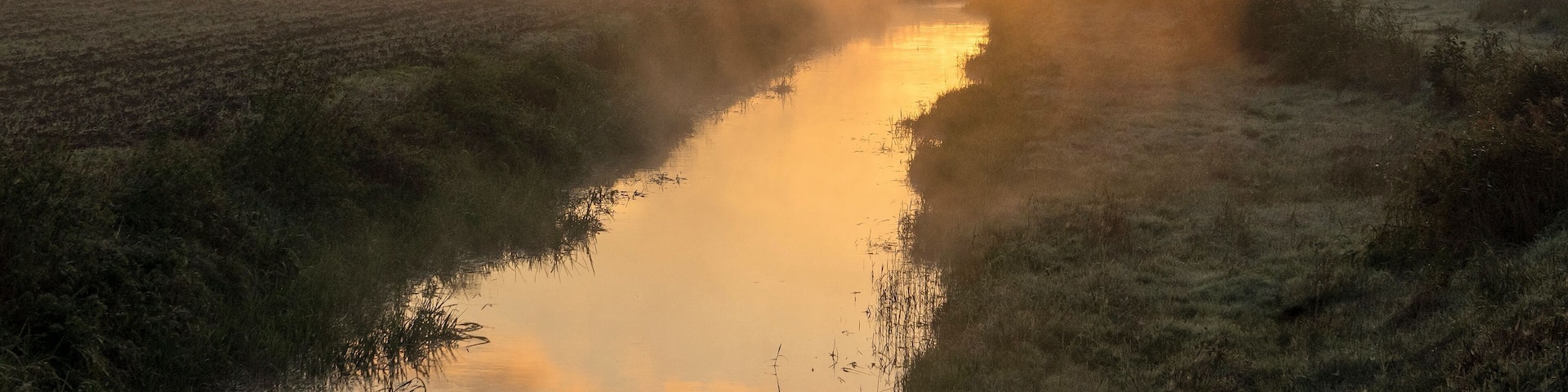 I shot this one before I went to work. It was a very stunning morning
#Mybackyard