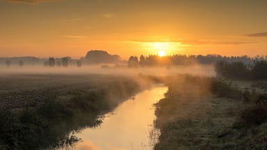 Een zonsopgang boven een nevelige rivier, met een bos op de achtergrond.