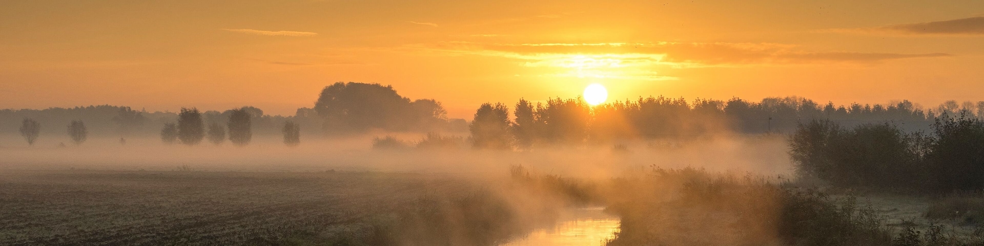 I shot this one before I went to work. It was a very stunning morning
#Mybackyard
