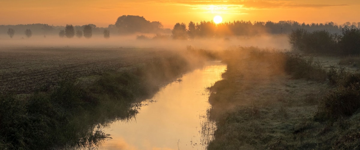 A sunrise over a misty river with a forest in the background.