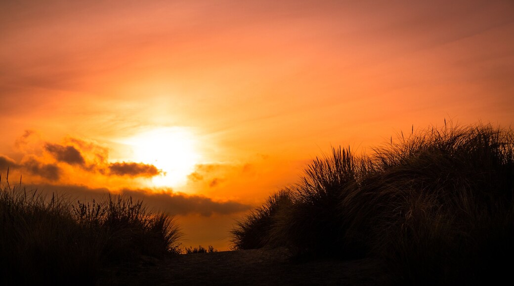 Sunset at the dunes of Hoek van Holland, Rotterdam, the Netherlands.