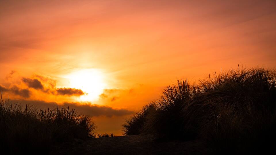 A sunset over a grassy landscape with a clear sky.