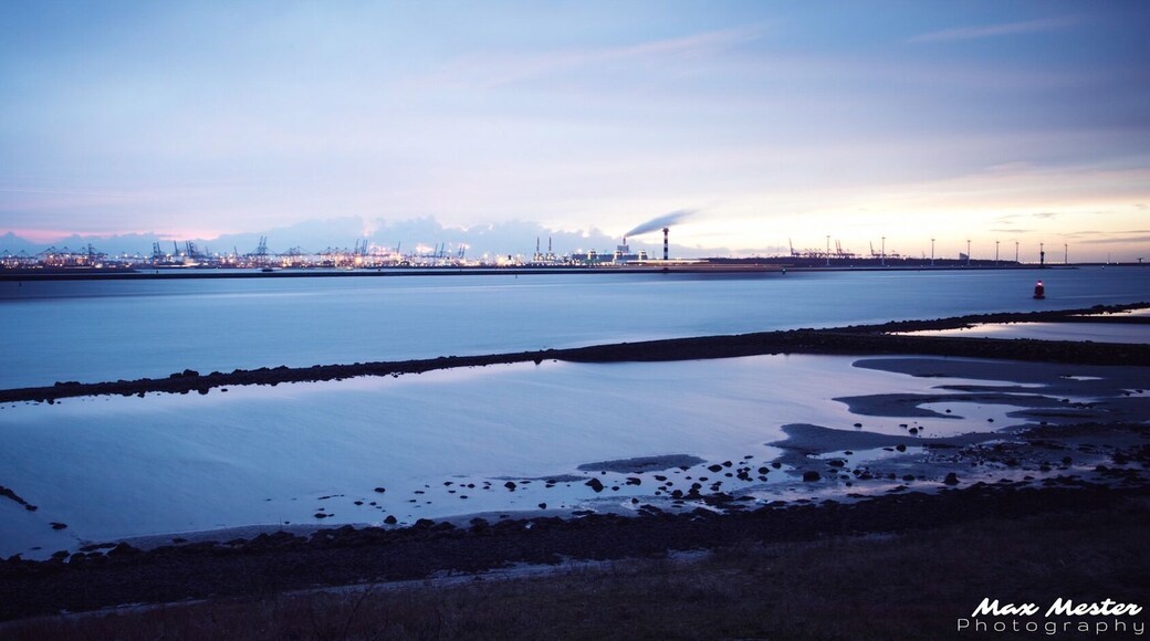 Harbor Hoek Van Holland