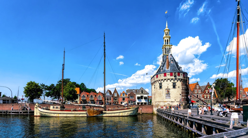 Hoorn