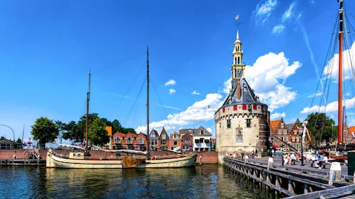 Hoorn