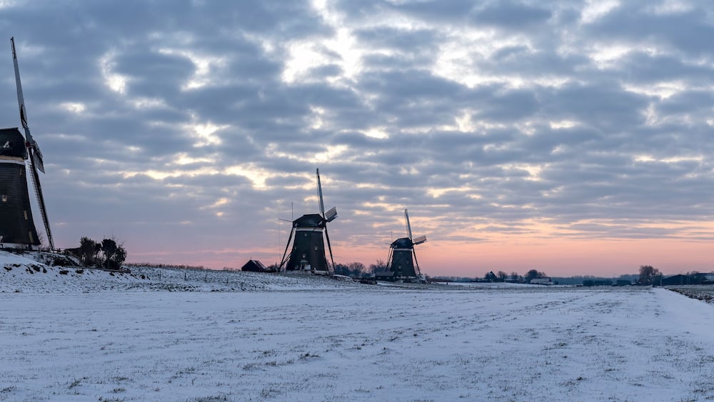 Panorama photo of a sunrise on a cold winter morning with a snowy landscape at the three windmills in Leidschendam, The Netherlands