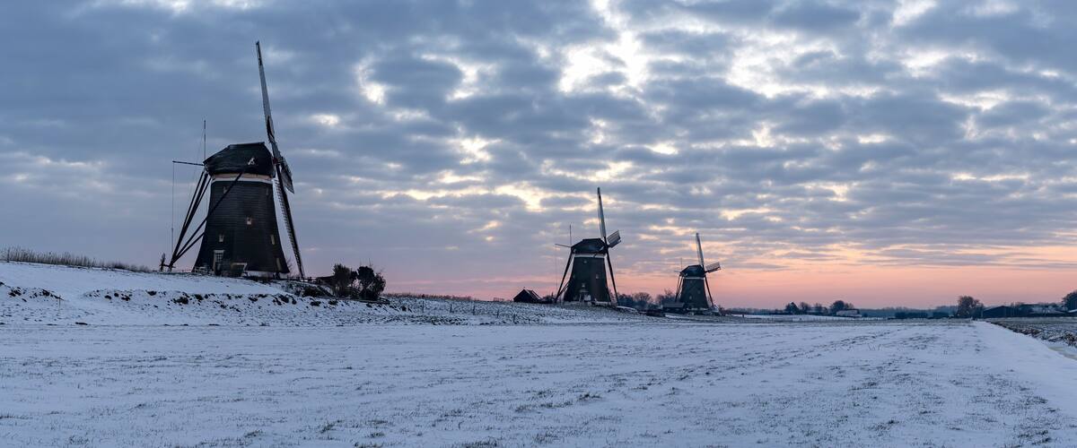 A snowy landscape with windmills and a field.