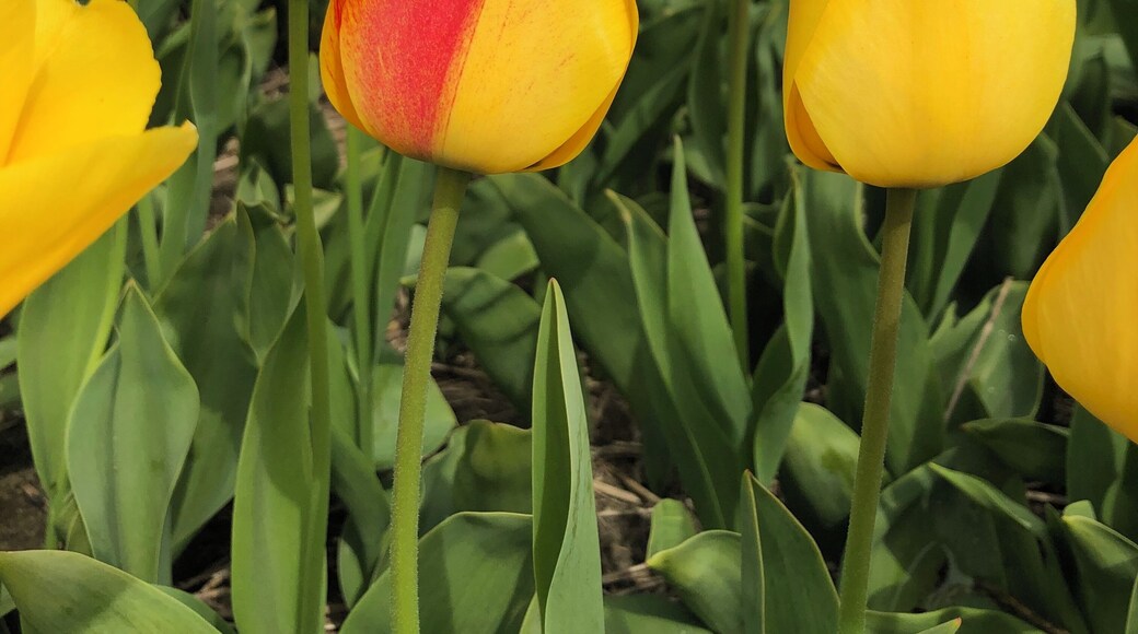 It’s ok to be a little different #Culture taken by my 10 year old daughter