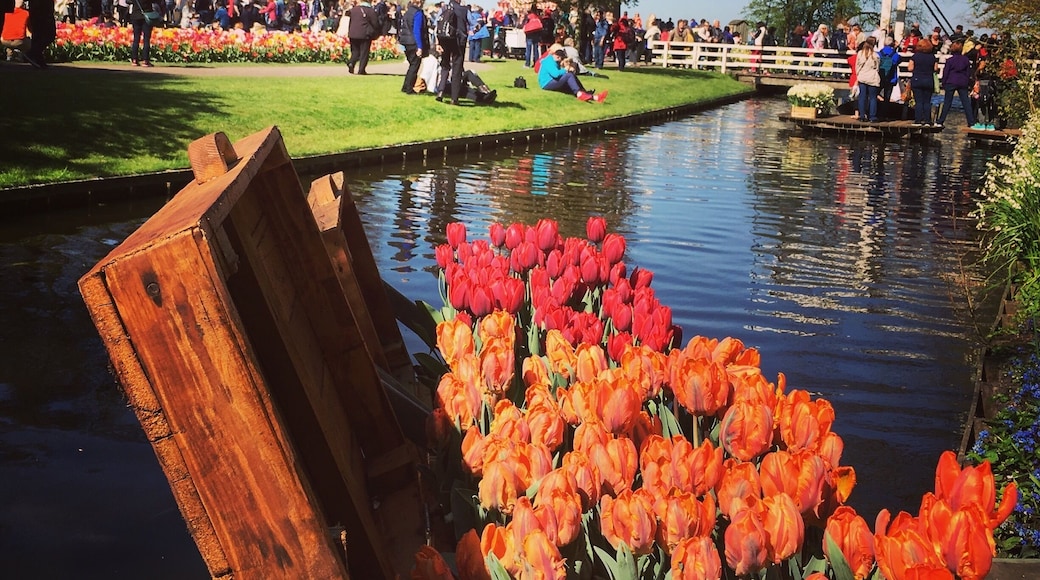 We had the most amazing time in The Netherlands (our 17th country) with 4 of our best friends this spring. We happened to be in Amsterdam at the same time the annual tulip festival was going on and took a day trip out to Keukenhof. Not much else like it. #lens4change