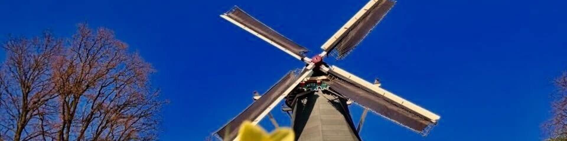 Keukenhof park lisse open only 2 months a year in spring