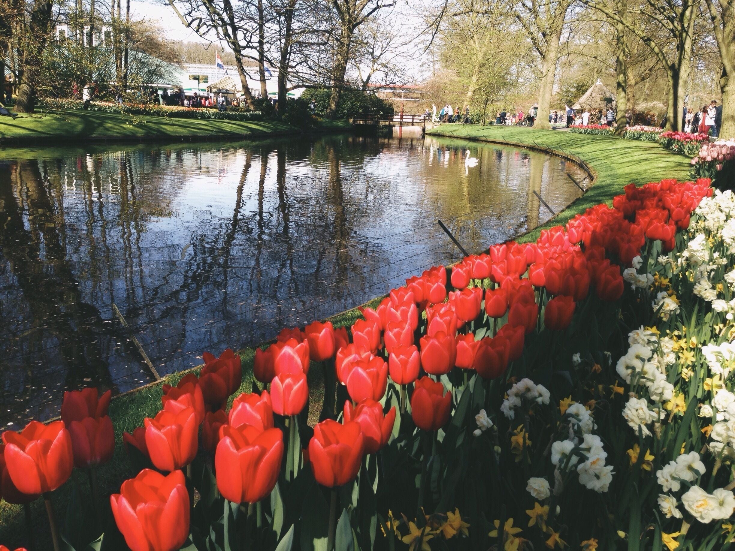 Do also check out for their green house. Its amazing.