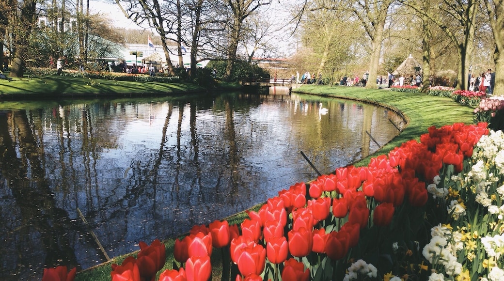 Do also check out for their green house. Its amazing.