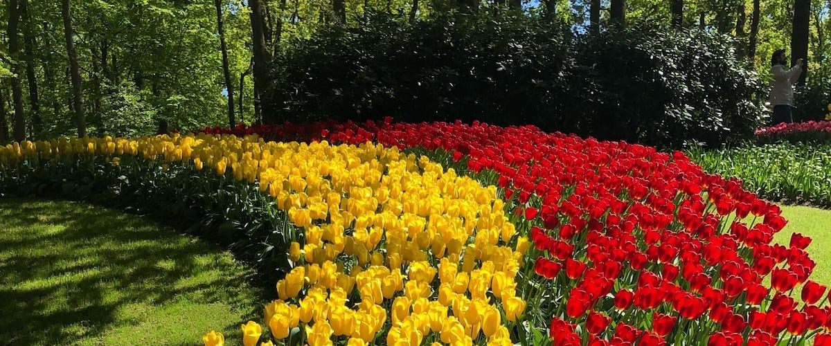 Only opens mars 13 to May 13 every year. So plan your trip. Work it!