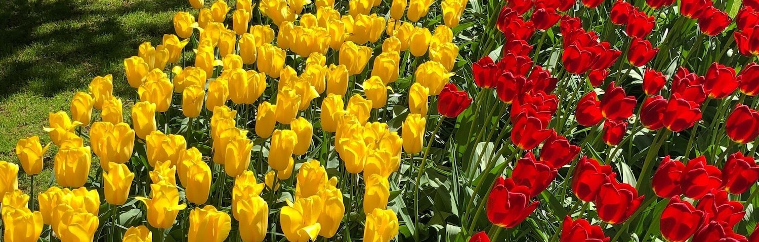 Only opens mars 13 to May 13 every year. So plan your trip. Work it!