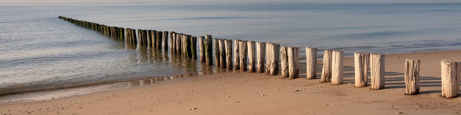 row of poles on beach of zeeland in the netherlands under blue sky in spring