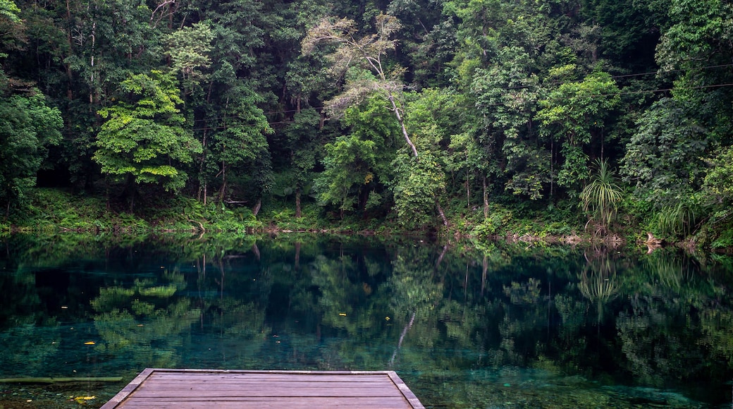 beautiful view of crystal clear water surrounded with dense green forest in Telaga Biru, Berau, Indonesia