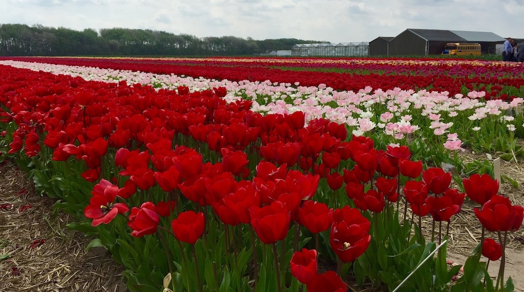 What an amazing view.. I want this in my backyard!!!!