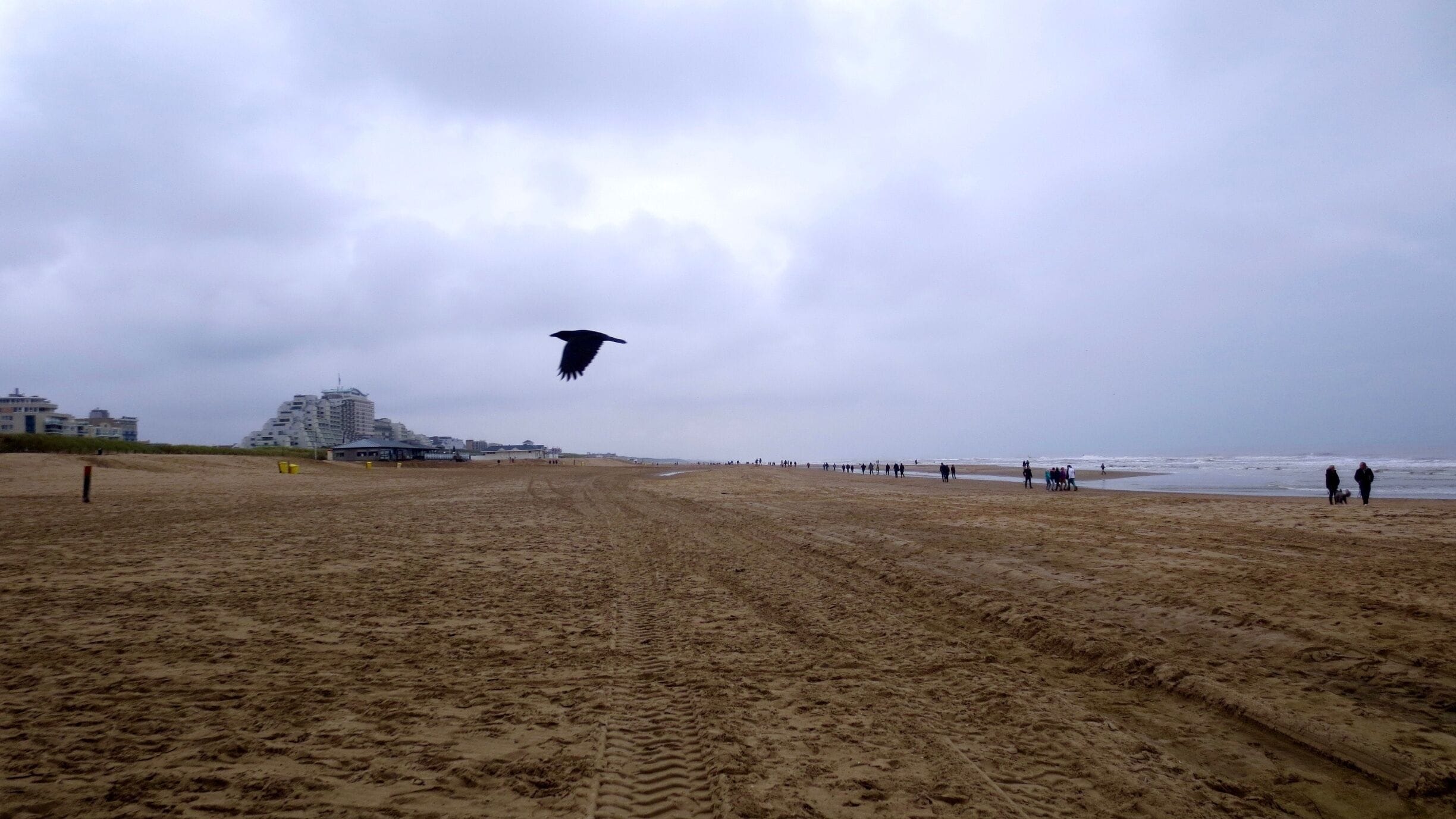 Strand Noordwijk aan Zee