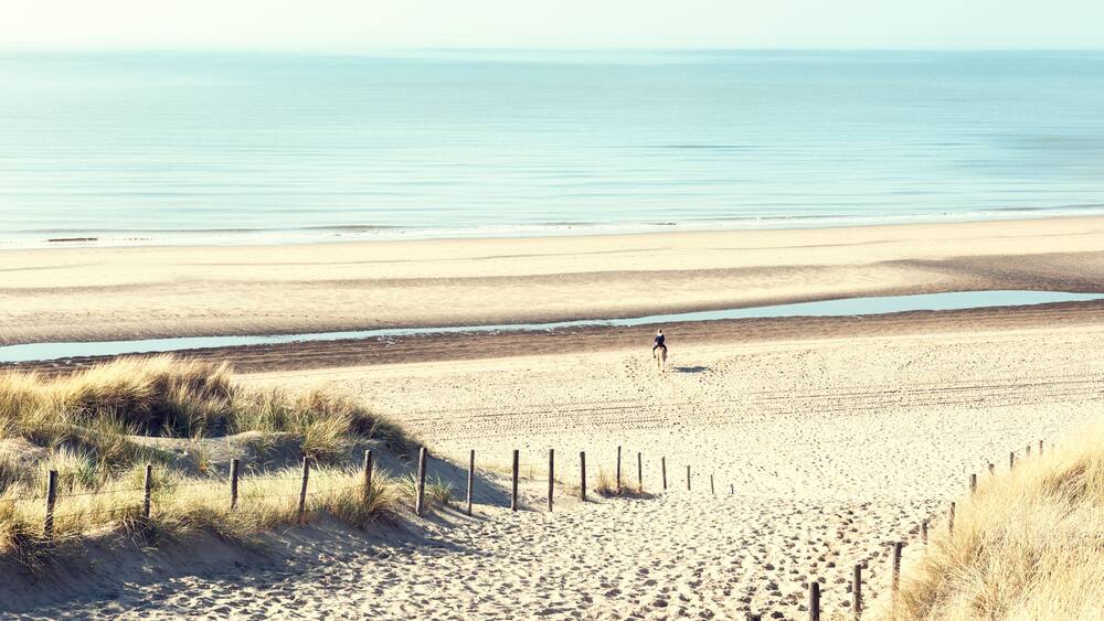Sandy dunes on the sea coast in Noordwijk, Netherlands, Europe.; Shutterstock ID 630868742