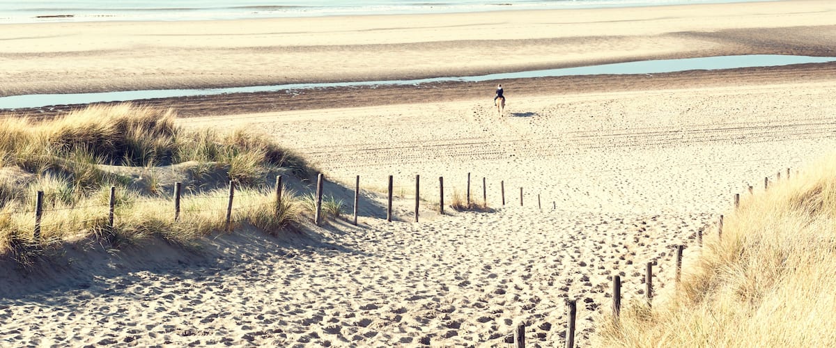 Sandy dunes on the sea coast in Noordwijk, Netherlands, Europe.; Shutterstock ID 630868742