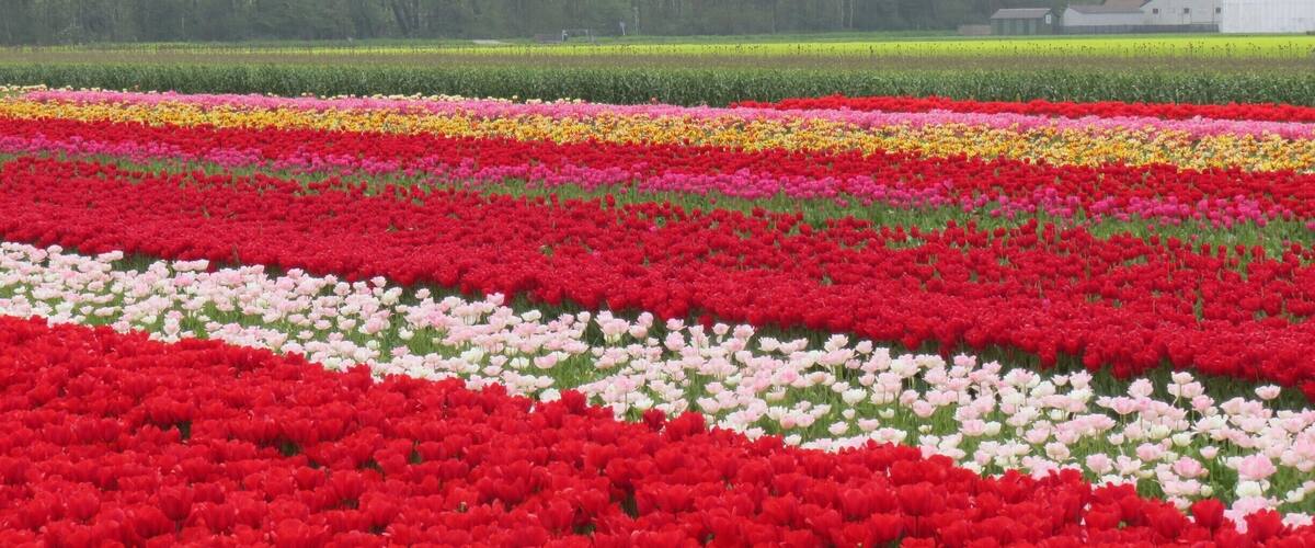 Amazing view! i really love this