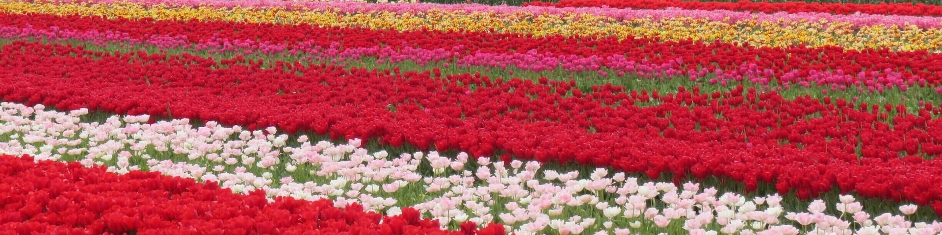 Amazing view! i really love this