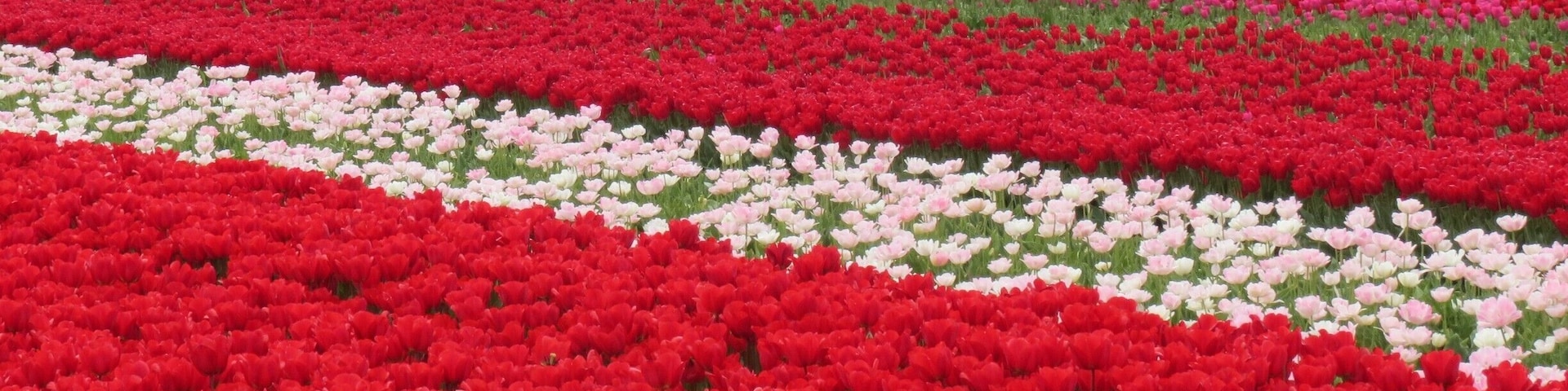 Amazing view! i really love this