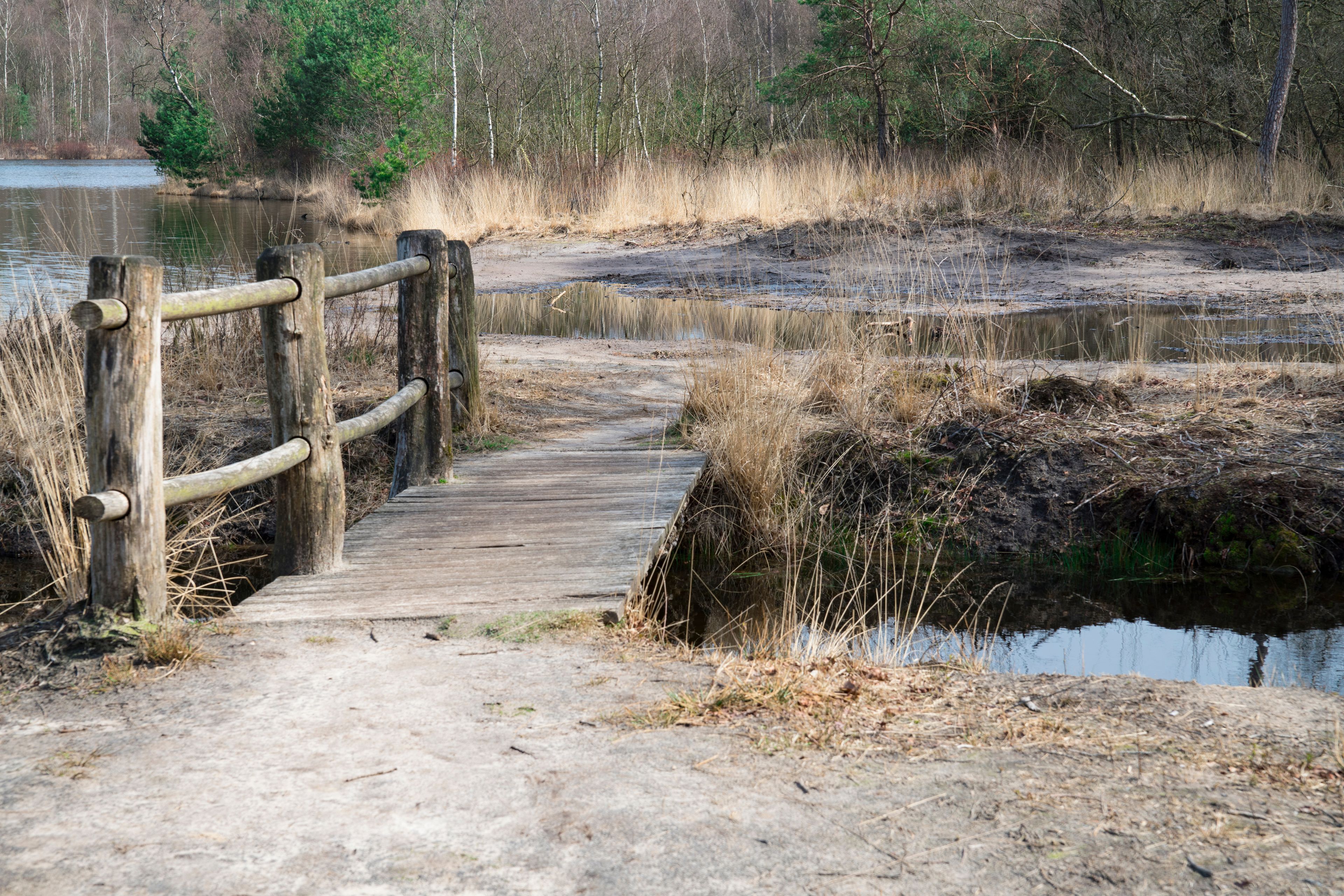 A wooden bridge over a shallow water body, surrounded by dry grass and trees.
