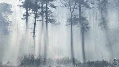 What better to shoot a photo like this at the middle of the day! #lazy. Had just perfect conditions with the sun heating up the frost. Loved it!