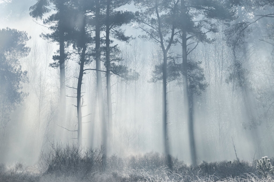 What better to shoot a photo like this at the middle of the day! #lazy. Had just perfect conditions with the sun heating up the frost. Loved it!