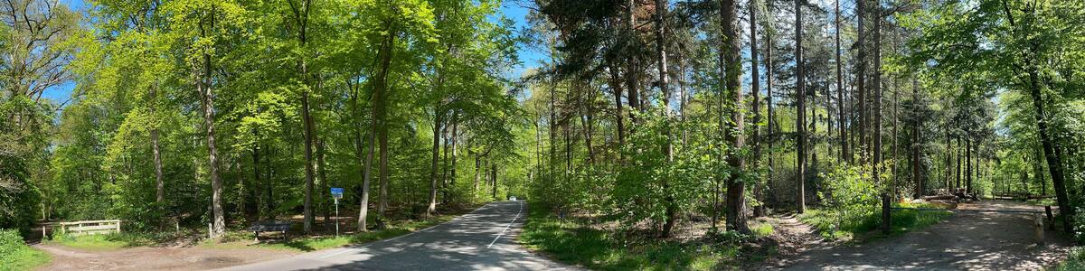 MTB Route Rijssen crossing a road