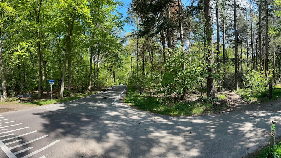A forested road with a pedestrian path, a bench, and a signpost.