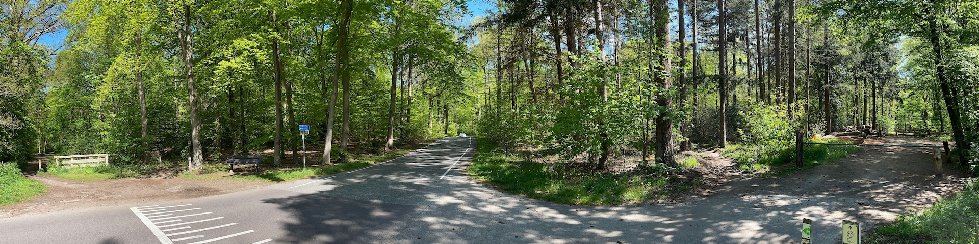 A forested road with a pedestrian path, a bench, and a signpost.