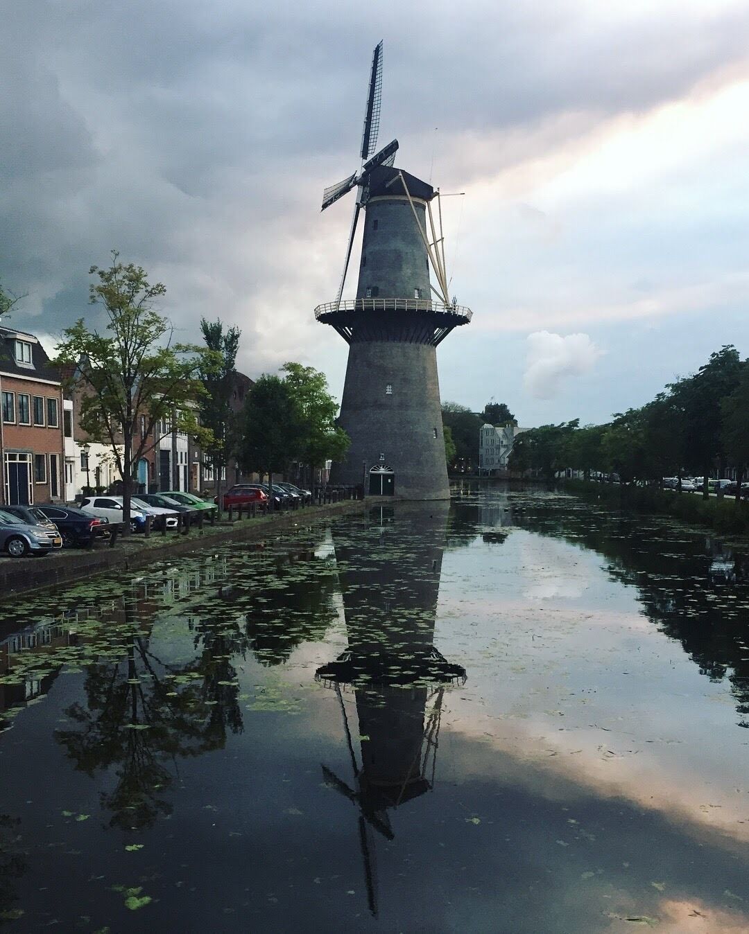 In Rotterdam, at the Schiedam area, are several windmills that you can walk in or around. One is still functioning and is a museum so you can see how these windmills were used 300 years ago. These giants are surrounded by a residential area and stand along the water way. 

These 5 mills are the largest in the world! 
#localsecrets