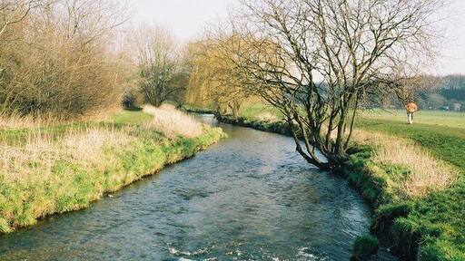 River Cray near Hall Place, Sidcup, Kent. Here the River Cray runs through pleasant open fields. The path alongside forms part of the London Loop.